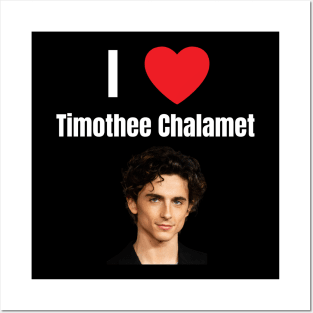 timothee chalamet Posters and Art